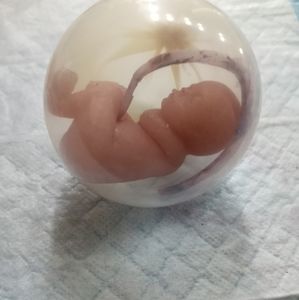 Full body silicone baby